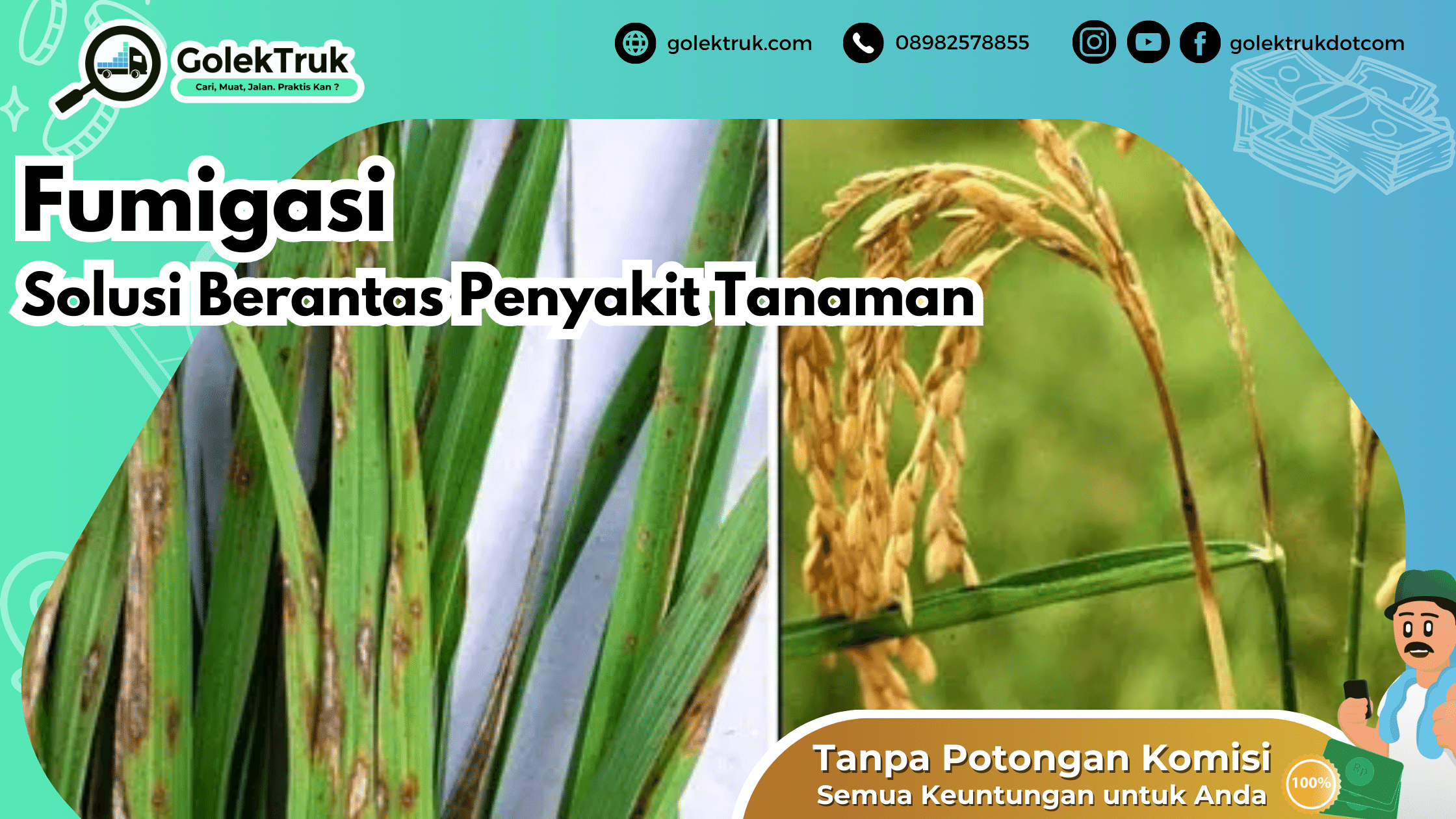 Fumigasi, Solusi Berantas Penyakit Tanaman
