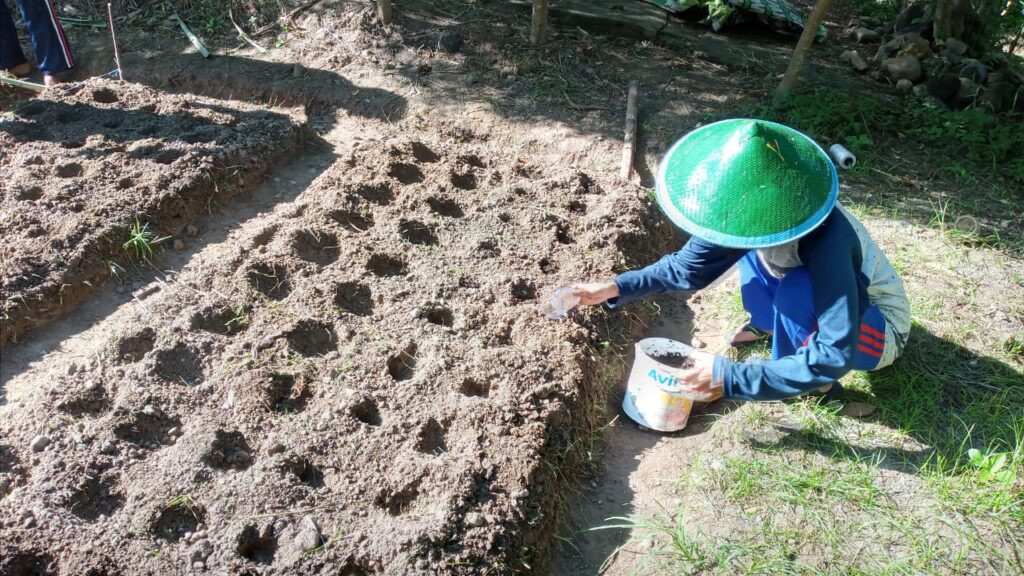 Memilih Jenis Pupuk Terbaik Untuk Tanaman - GolekTruk.com Blog