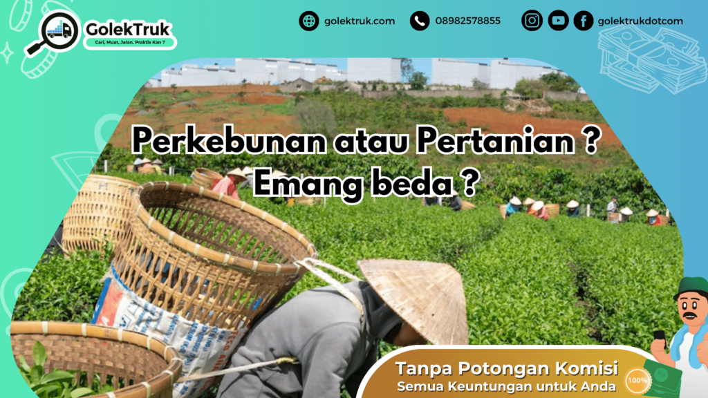 Perbedaan Perkebunan Dan Pertanian GolekTruk.com Blog