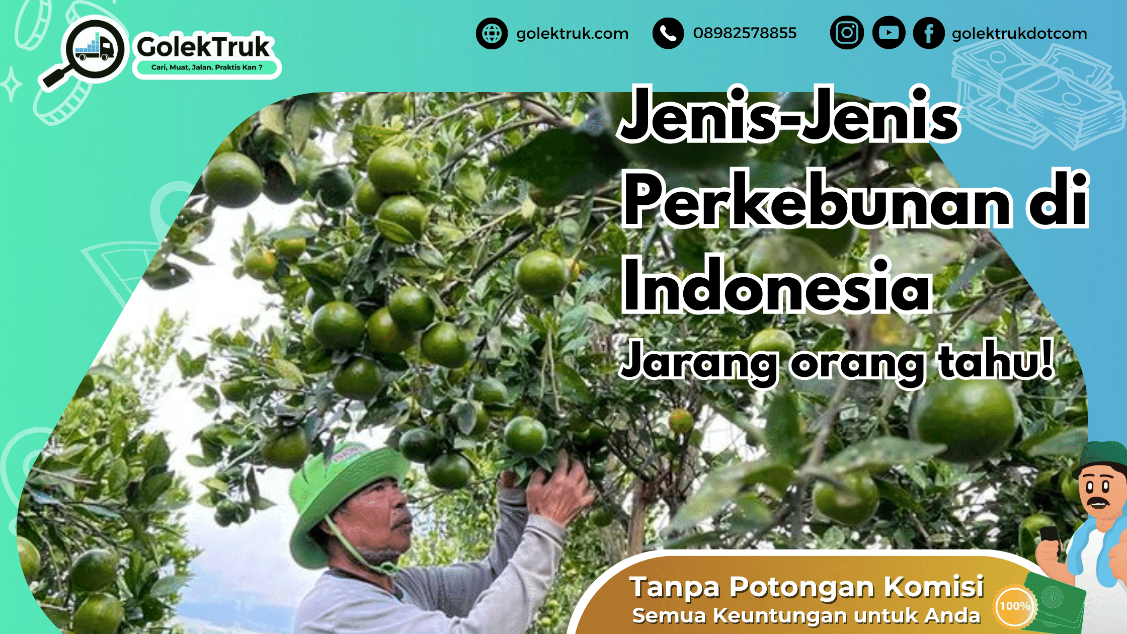 Jenis-Jenis Perkebunan di Indonesia