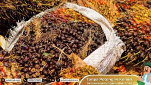 Apa Saja Komoditas Ekspor Indonesia?