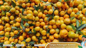 Faktor-faktor yang Mempengaruhi Ekspor Indonesia