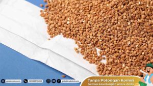 Kirim Sembako Dalam Kota